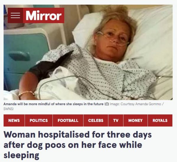 Σκύλος είχε διάρροια στο στόμα ενώ κοιμόταν - πήγε στο νοσοκομείο