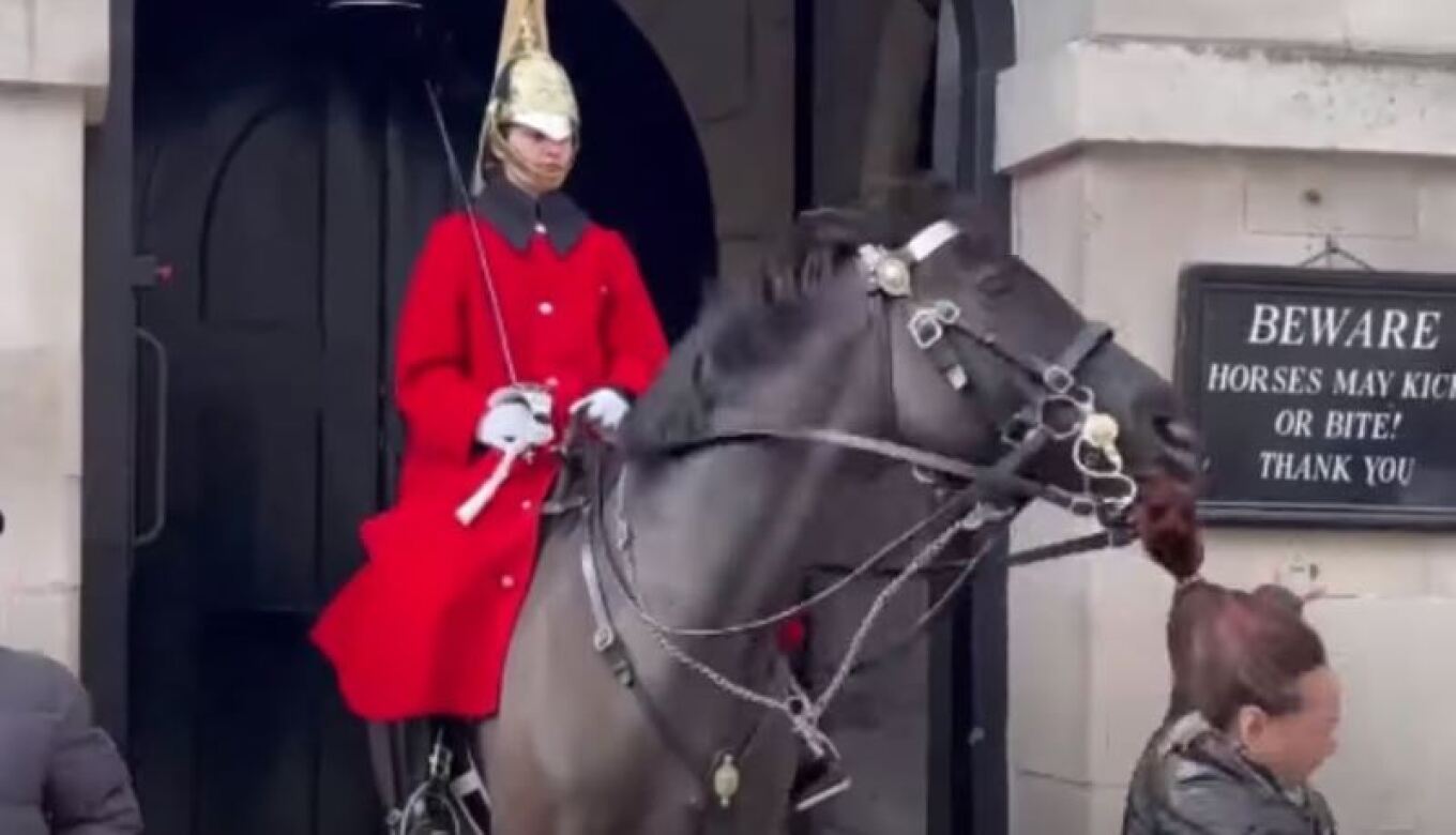 Τουριστικές πλεξούδες με άλογα της Βασιλικής Φρουράς του Μπάκιγχαμ (Βίντεο)